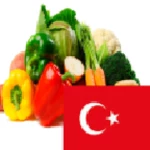 learn vegetables in turkish android application logo